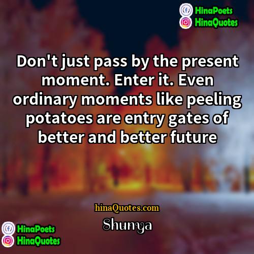 Shunya Quotes | Don't just pass by the present moment.