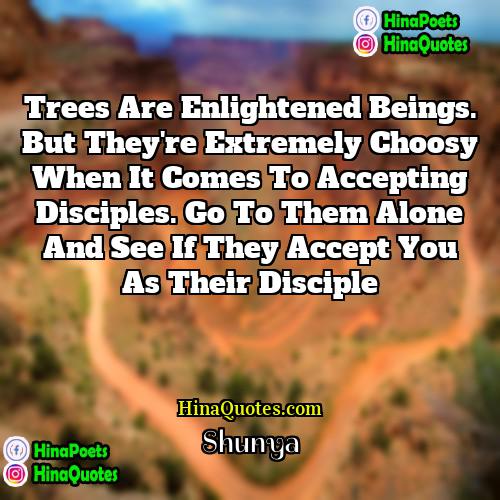 Shunya Quotes | Trees are enlightened beings. But they're extremely