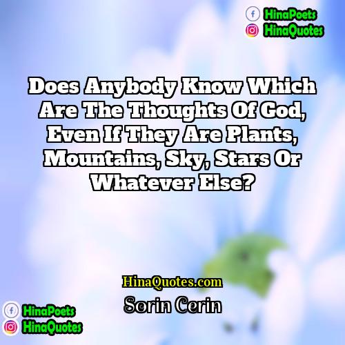 Sorin Cerin Quotes | Does anybody know which are the thoughts