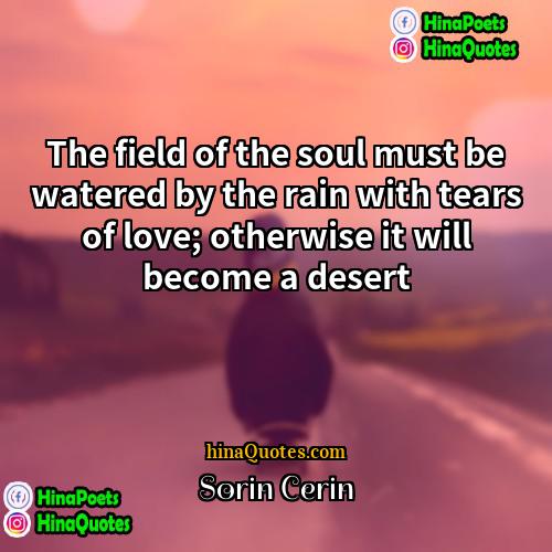 Sorin Cerin Quotes | The field of the soul must be