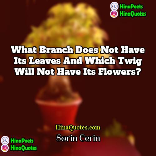 Sorin Cerin Quotes | What branch does not have its leaves