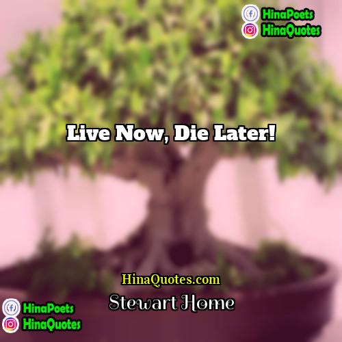 Stewart Home Quotes | Live now, die later!
  
