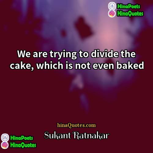 Sukant Ratnakar Quotes | We are trying to divide the cake,