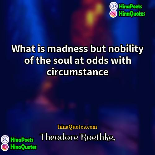 Theodore Roethke Quotes | What is madness but nobility of the