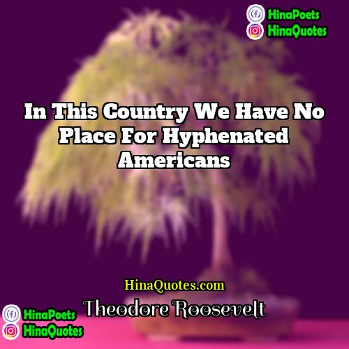 Theodore Roosevelt Quotes | In this country we have no place