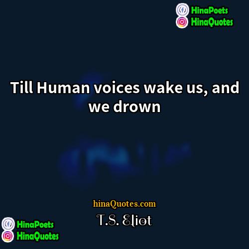 TS Eliot Quotes | Till Human voices wake us, and we
