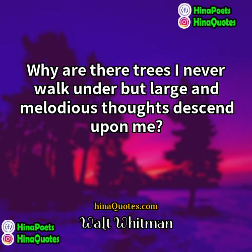 Walt Whitman Quotes | Why are there trees I never walk