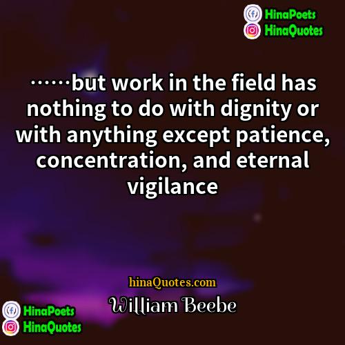 William Beebe Quotes | ……but work in the field has nothing