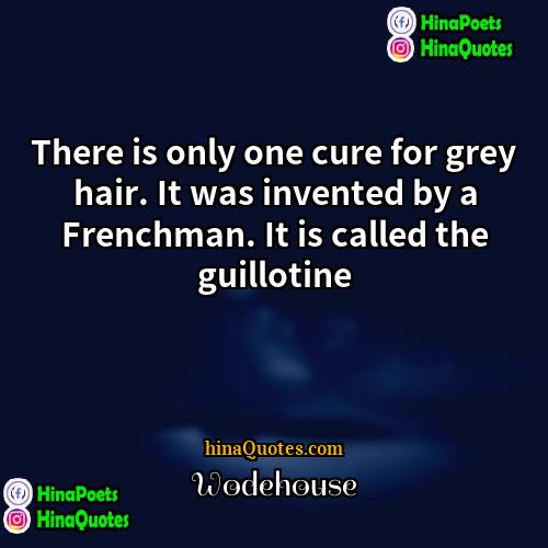 Wodehouse Quotes | There is only one cure for grey