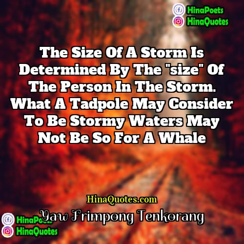 Yaw Frimpong Tenkorang Quotes | The size of a storm is determined
