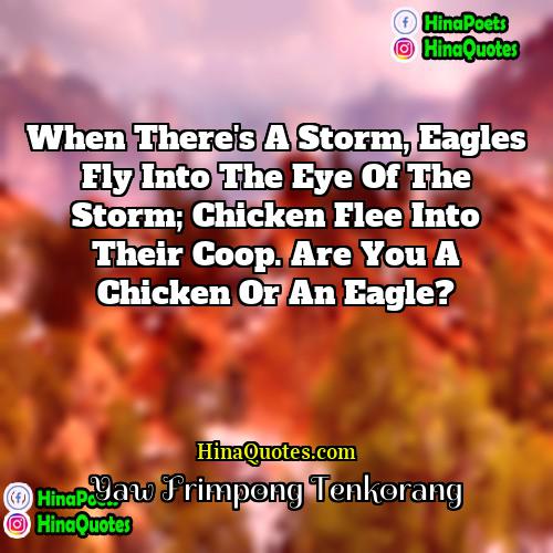 Yaw Frimpong Tenkorang Quotes | When there's a storm, eagles fly into